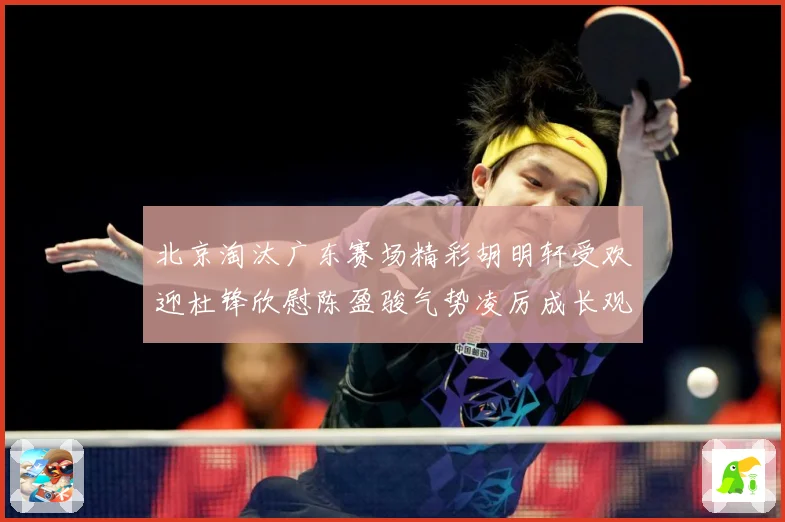 北京淘汰广东赛场精彩胡明轩受欢迎杜锋欣慰陈盈骏气势凌厉成长观察-深度解析